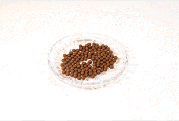 도꼬마리 섭취량