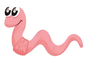 지렁이