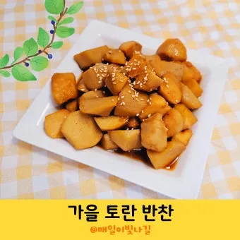 토란 심는시기 재배법 파종시기_12