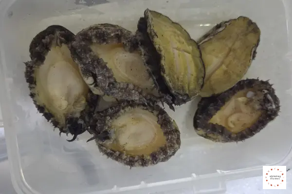 전복버터구이-칼집낸 전복을 살짝 데쳐냄