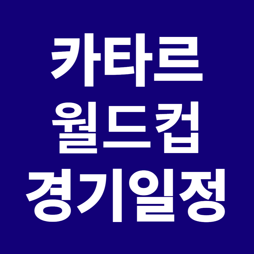 카타르 월드컵