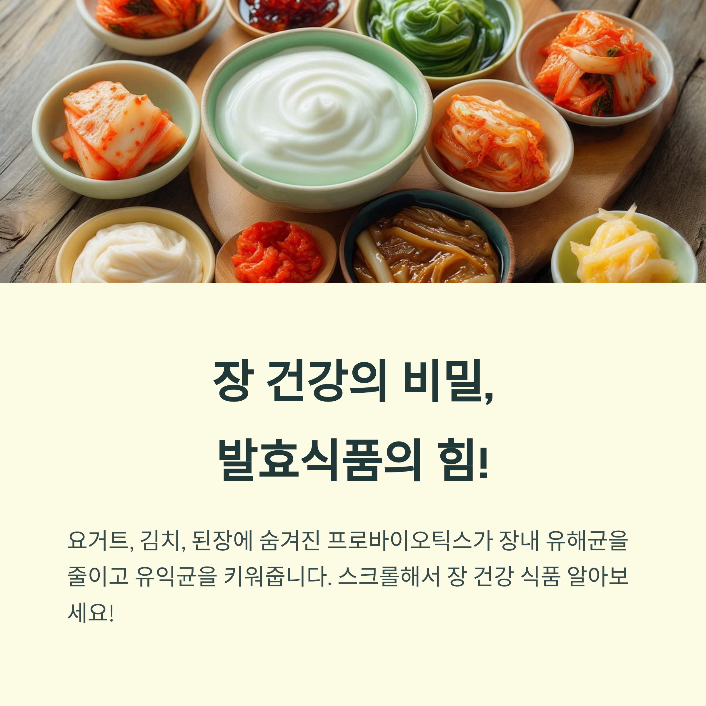 장 건강의 비밀, 발효식푸므이 힘!