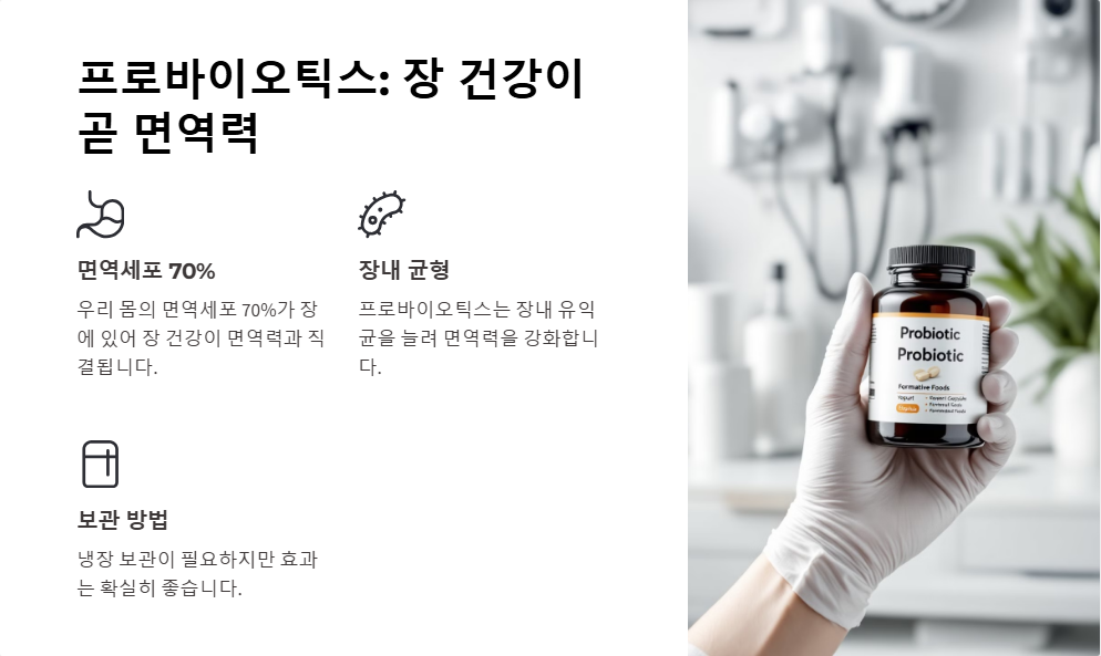 면역력 강화 보조제 추천