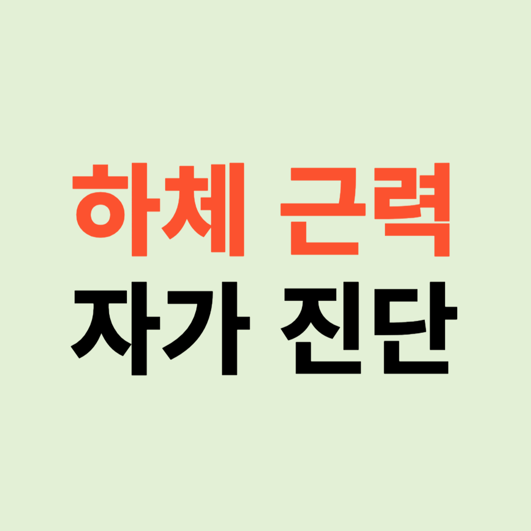 하체 근력 자가 진단