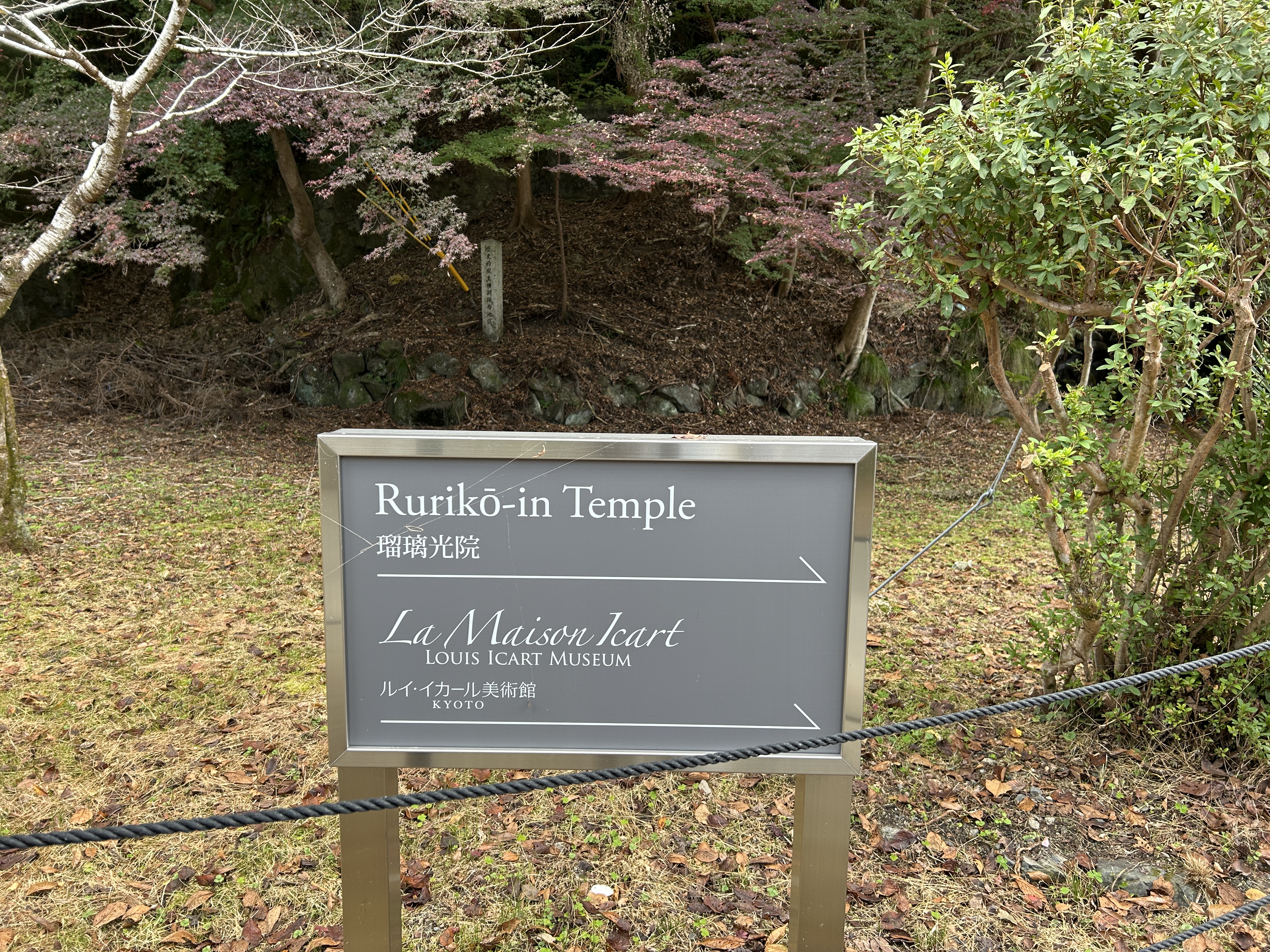 오사카 현지인도 간다! 교토 루리코인 가을단풍 명소 후기 관련사진