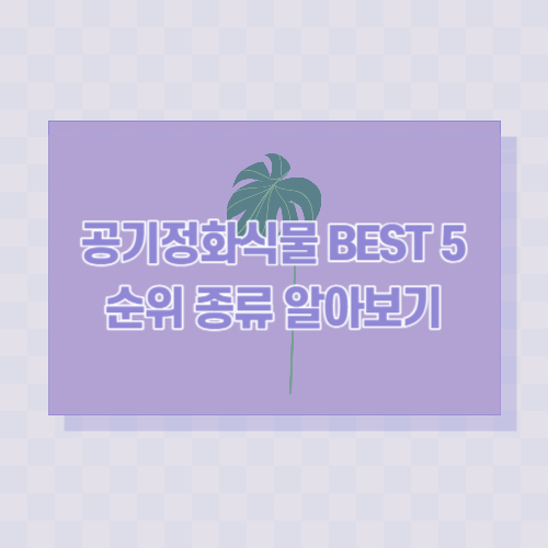 공기정화식물-BEST-5-순위-종류
