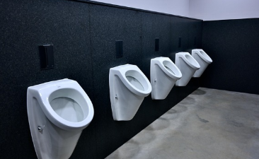 소변 관련 사진