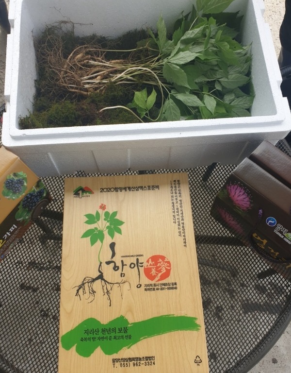 한국인의밥상-함양-산양삼-3대가족-힐링팜