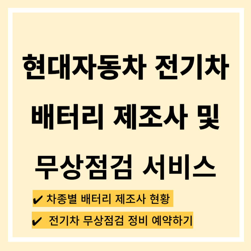 현대자동차 전기차 배터리 제조사 - 안심 점검 서비스