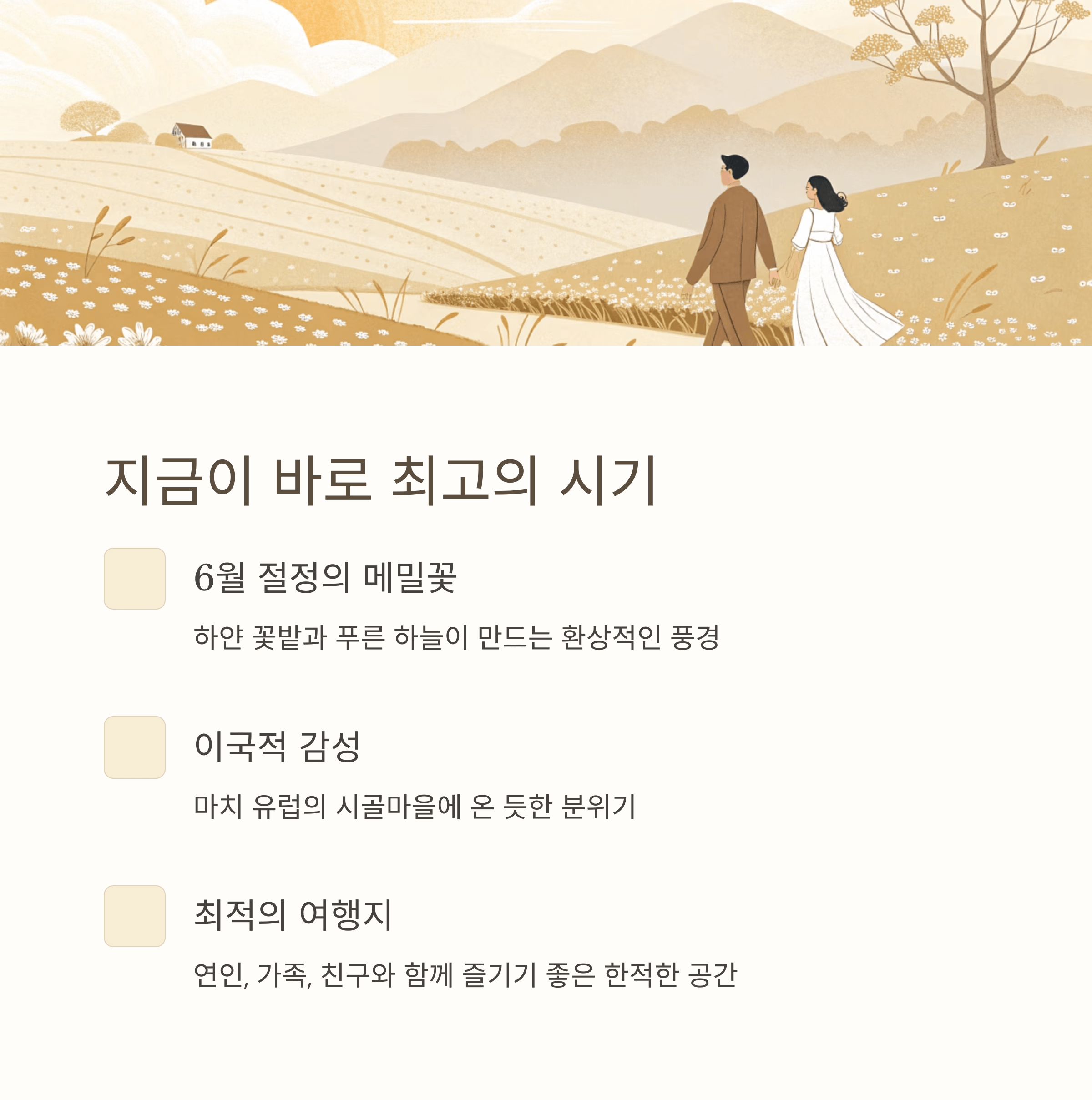 와흘메밀마을의 6월 절정 풍경과 감성적인 여행 포인트 설명