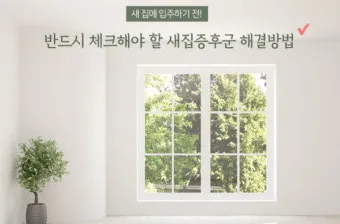 새집증후군 원인 제거 방법 포름알데히드 완전 가이드_8