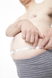 체지방률 정상범위