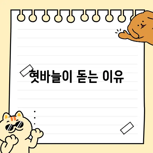 혓바늘이 돋는 이유