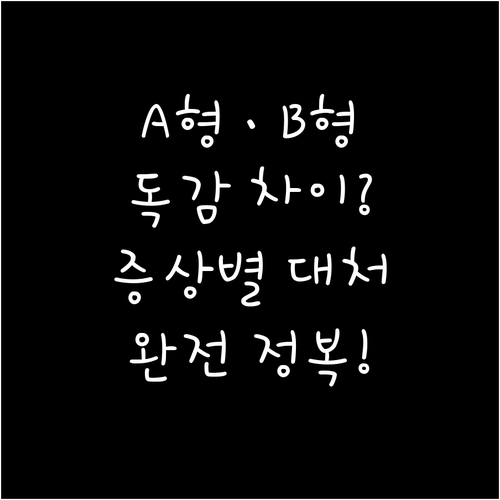 A형 B형 독감 차이점과 증상별 맞춤..