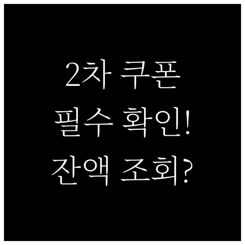 민생회복 2차 소비쿠폰 사용처 및 잔..