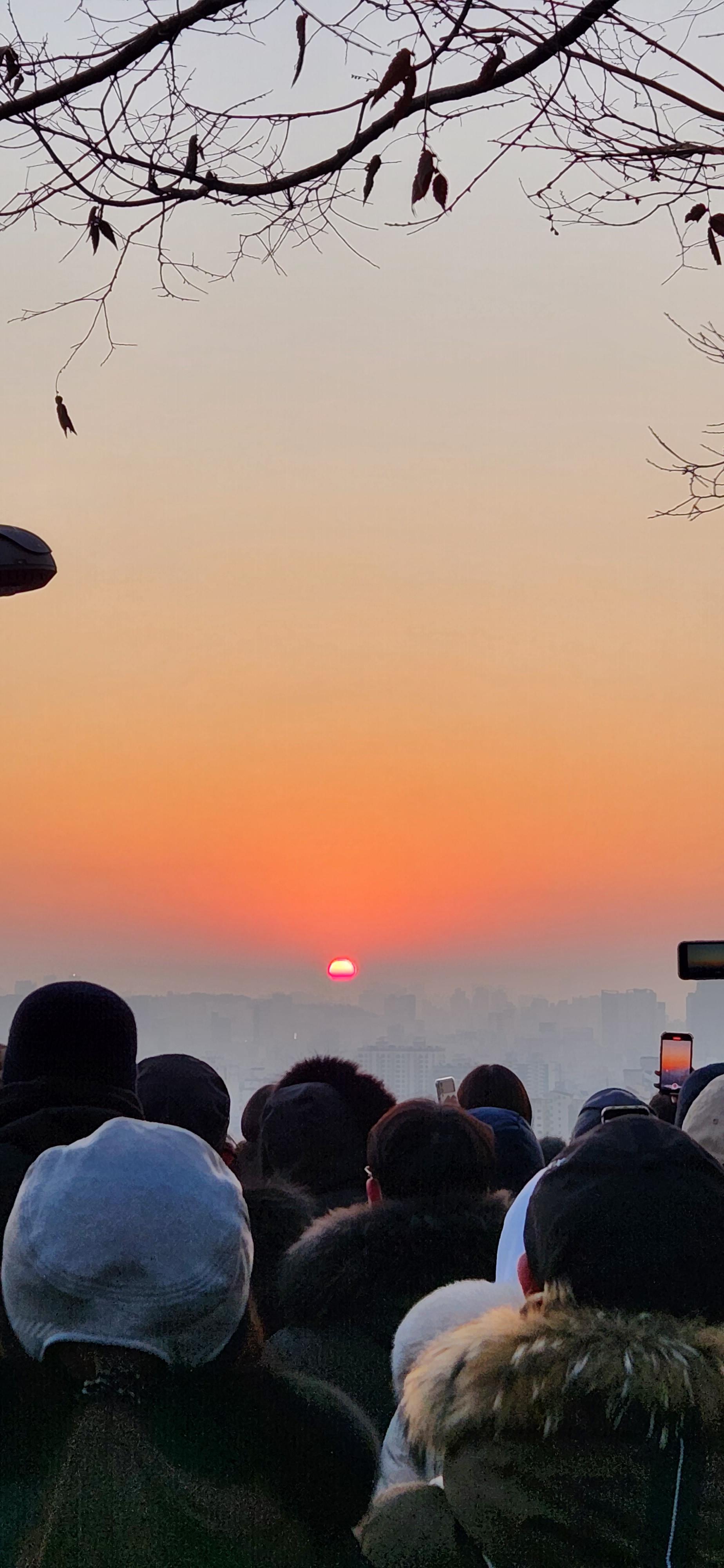 하늘공원 (마포) 새해 일출 해돋이 주차