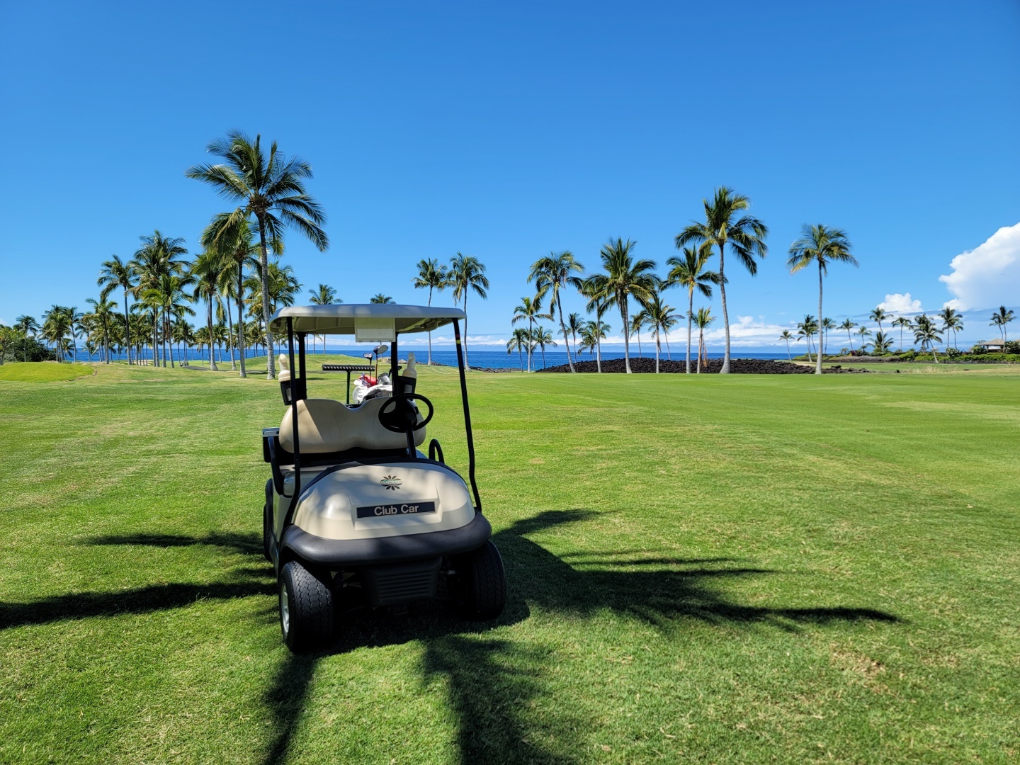 하와이 빅아일랜드 골프장 추천