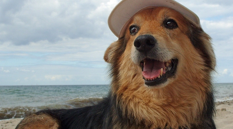 산업현장에서 동적 전선의 고장 유형
