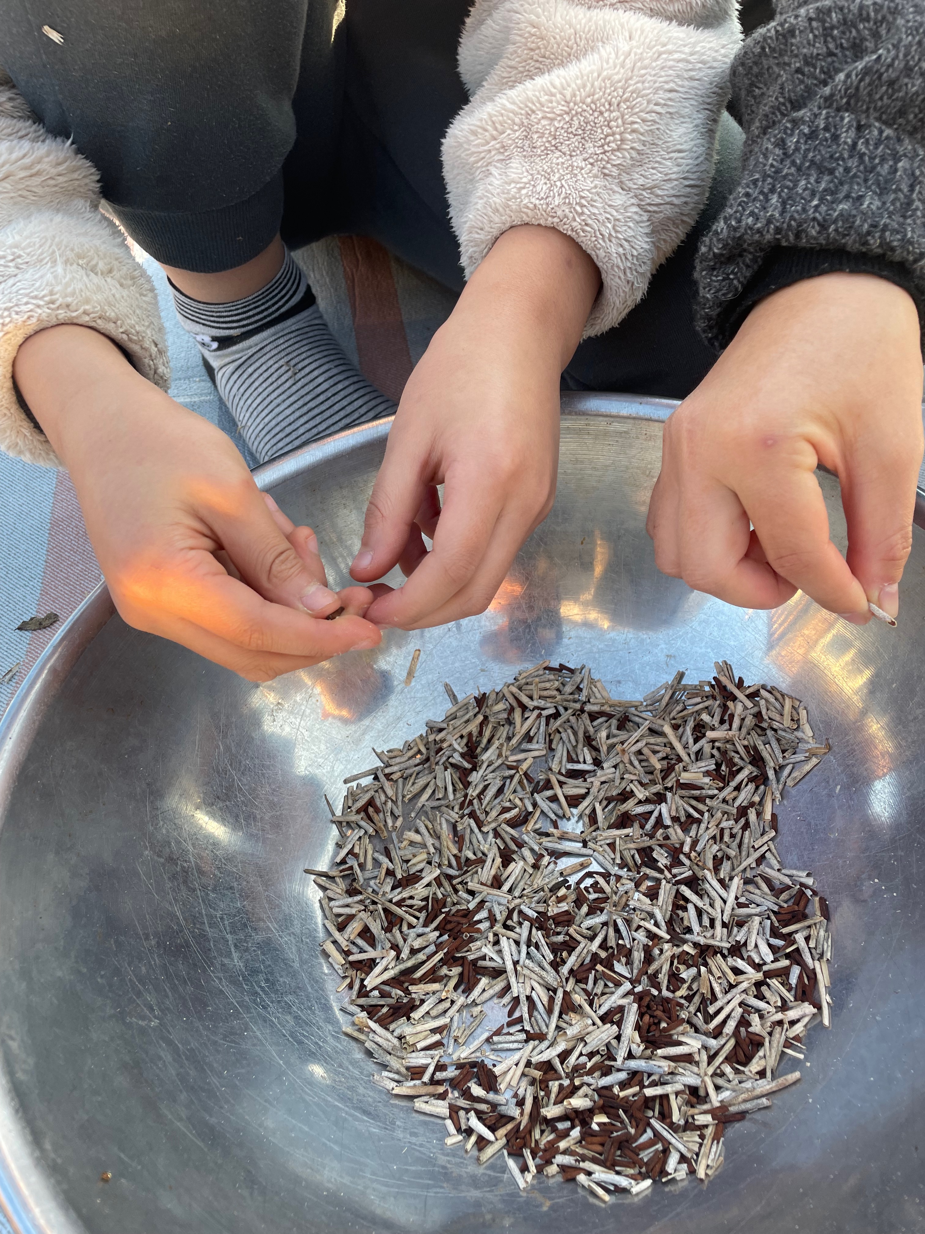 20231120 씨앗을 수집하는 텃밭수업