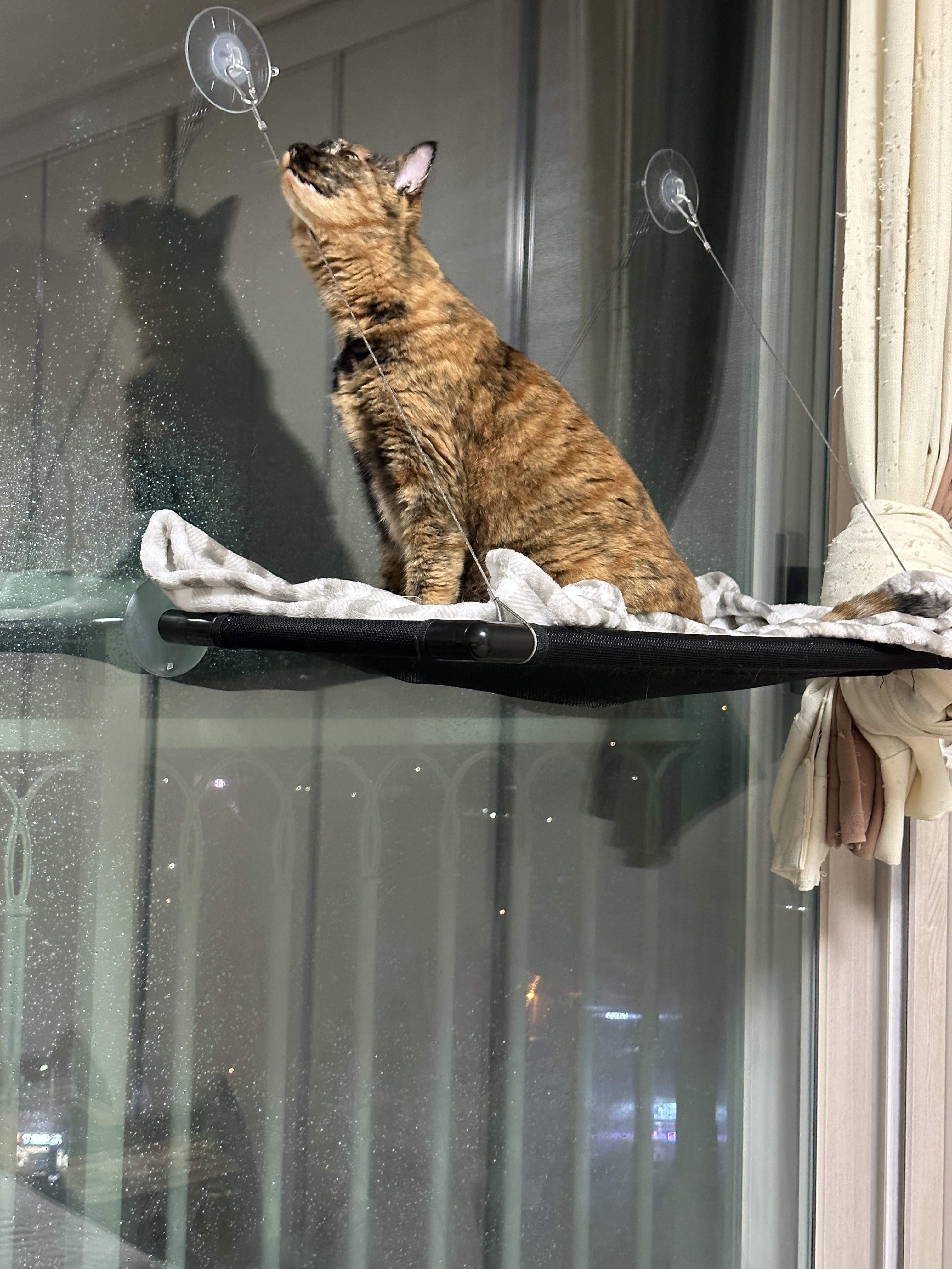 오른쪽_뺨의_페로몬_묻히는_사랑이