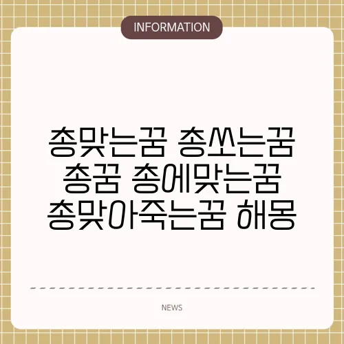 총맞는꿈 총쏘는꿈 총꿈 총에맞는꿈 총맞아죽는꿈 해몽