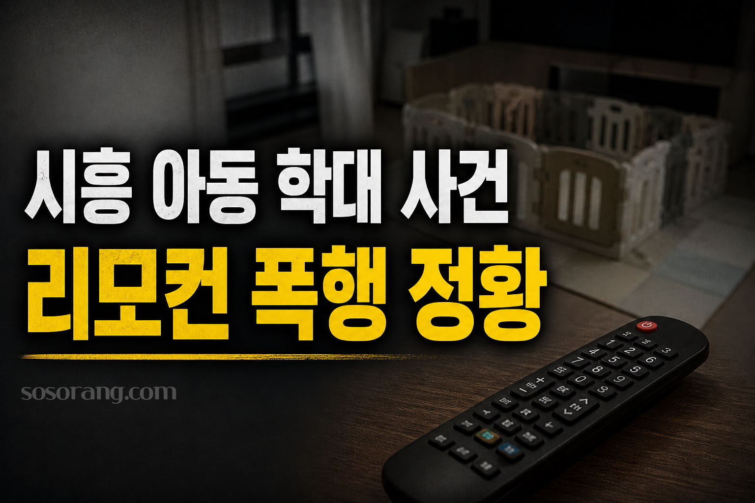 시흥 아동 학대 사건 리모컨 폭행 정황과 관련된 설명 이미지