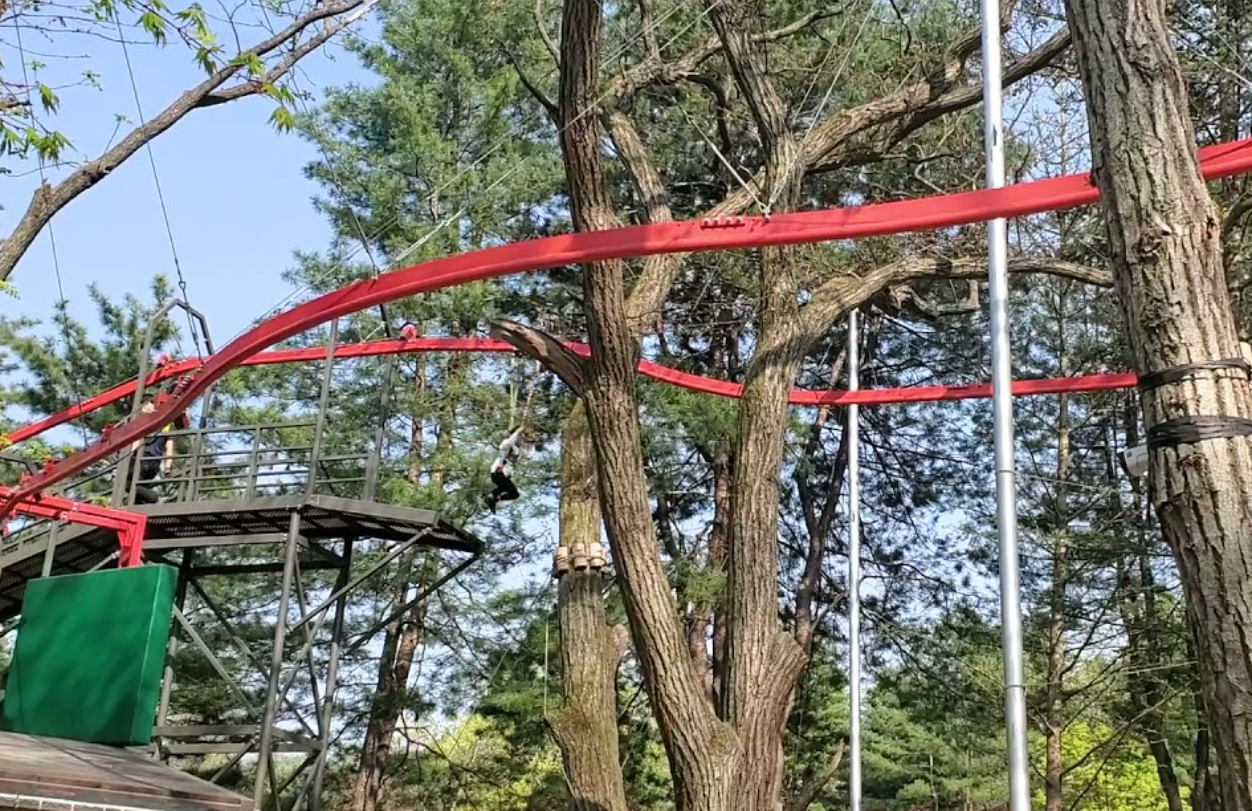 트리코스터