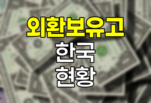 외환보유고의 의미와 한국 외환보유액 분석