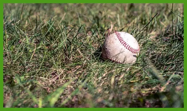 프리미어12 일정