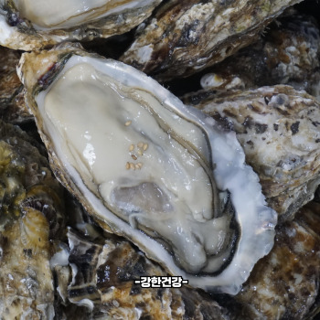 굴무침 황금레시피