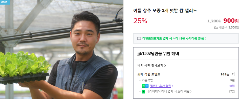 상추 파종시기 및 6가지 효능 (+ 겉절이 만들기 종류 모종)