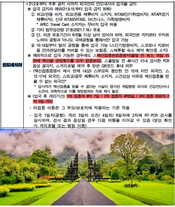 인도네시아 입국 현황