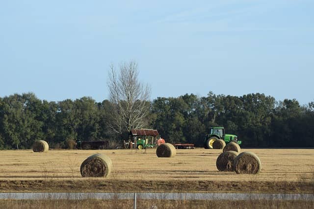 실내 수직 농업 : 작은 공간에서도 최대한 많은 작물을 키우는 법