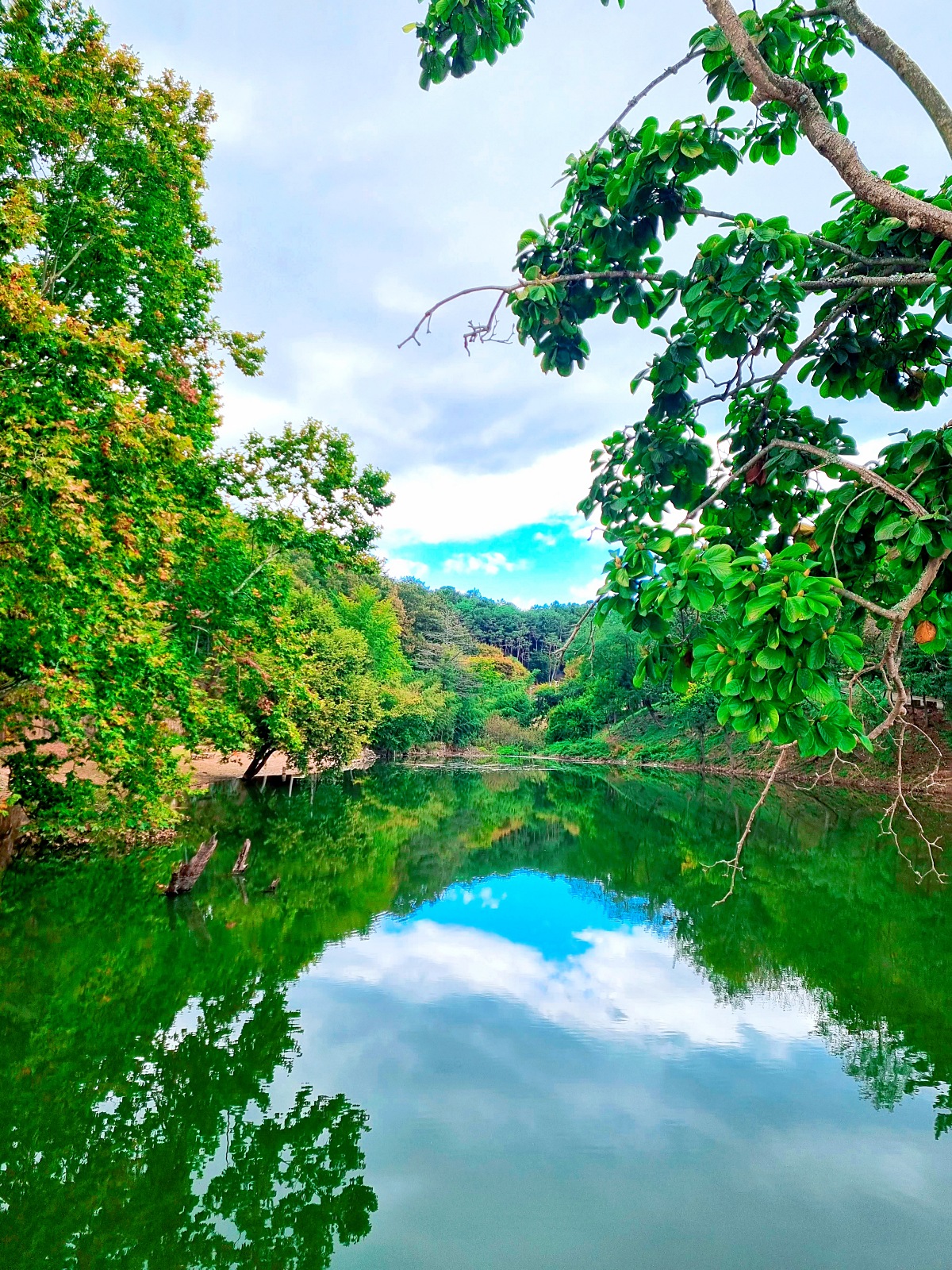 진주 가볼만한곳 진양호 공원: 진경양지 카페, 물빛갤러리, 반영이 예쁜 호수 둘레길