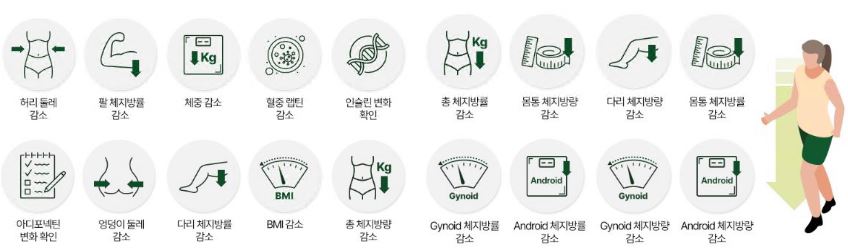 와사비-다이어트-효능
