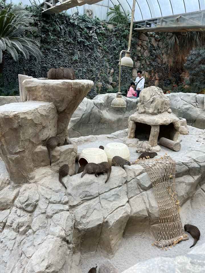 네이처파크