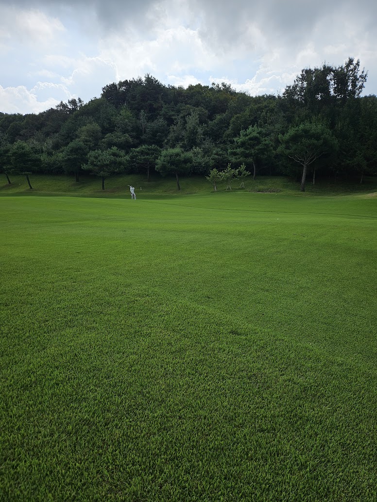 강원지역노캐디골프장