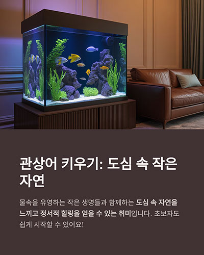 초보자를 위한 단계별 안내