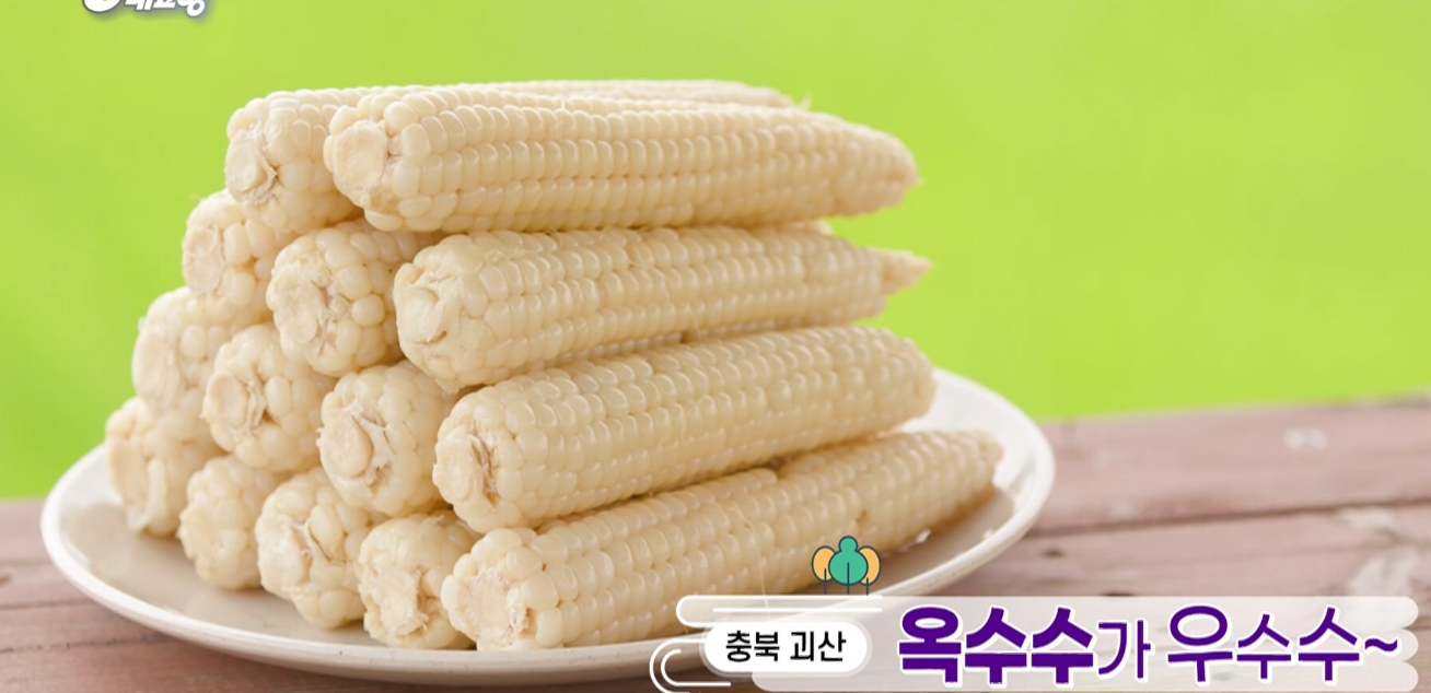 6시내고향 다시보기