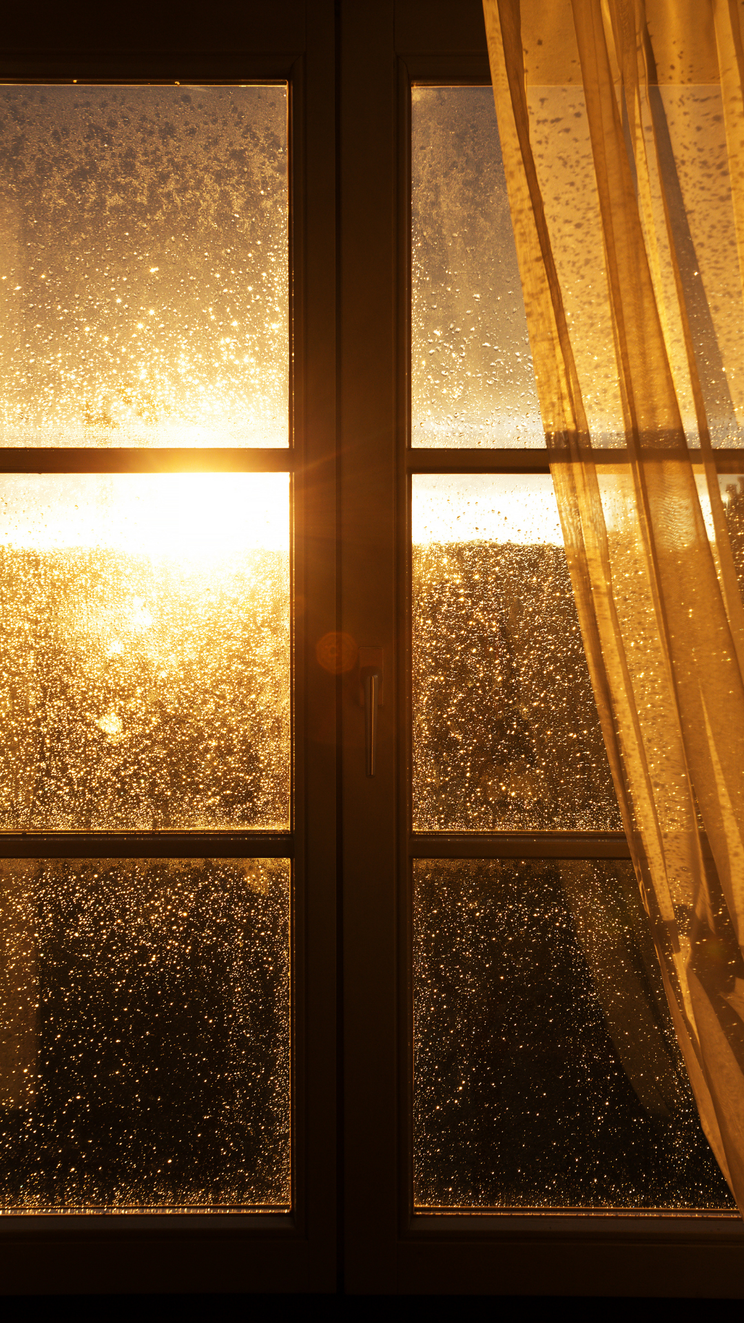 빗방울 배경화면 스마트폰 이미지 사진 그림 모음집