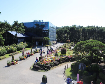 벽초지 수목원 가을꽃 국화축제