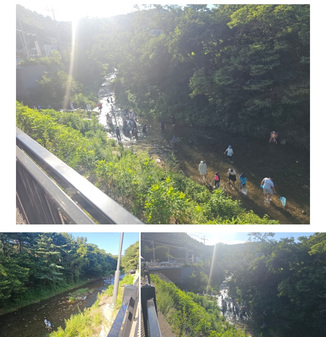 스타벅스 용인고기동유원지