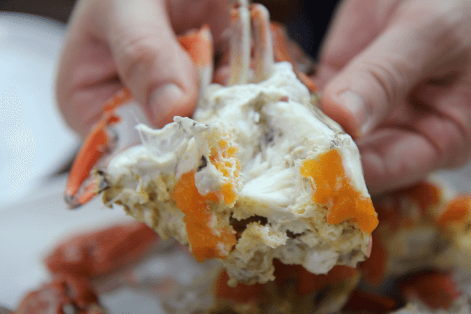 생방송 투데이 꽃게탕 인천