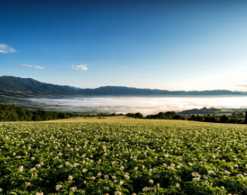 숲나들e 홈페이지 실시간 예약방법
