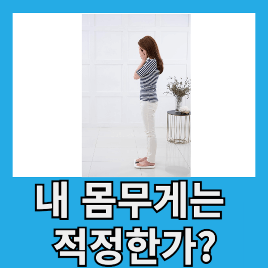 내 몸무게가 적정한가?