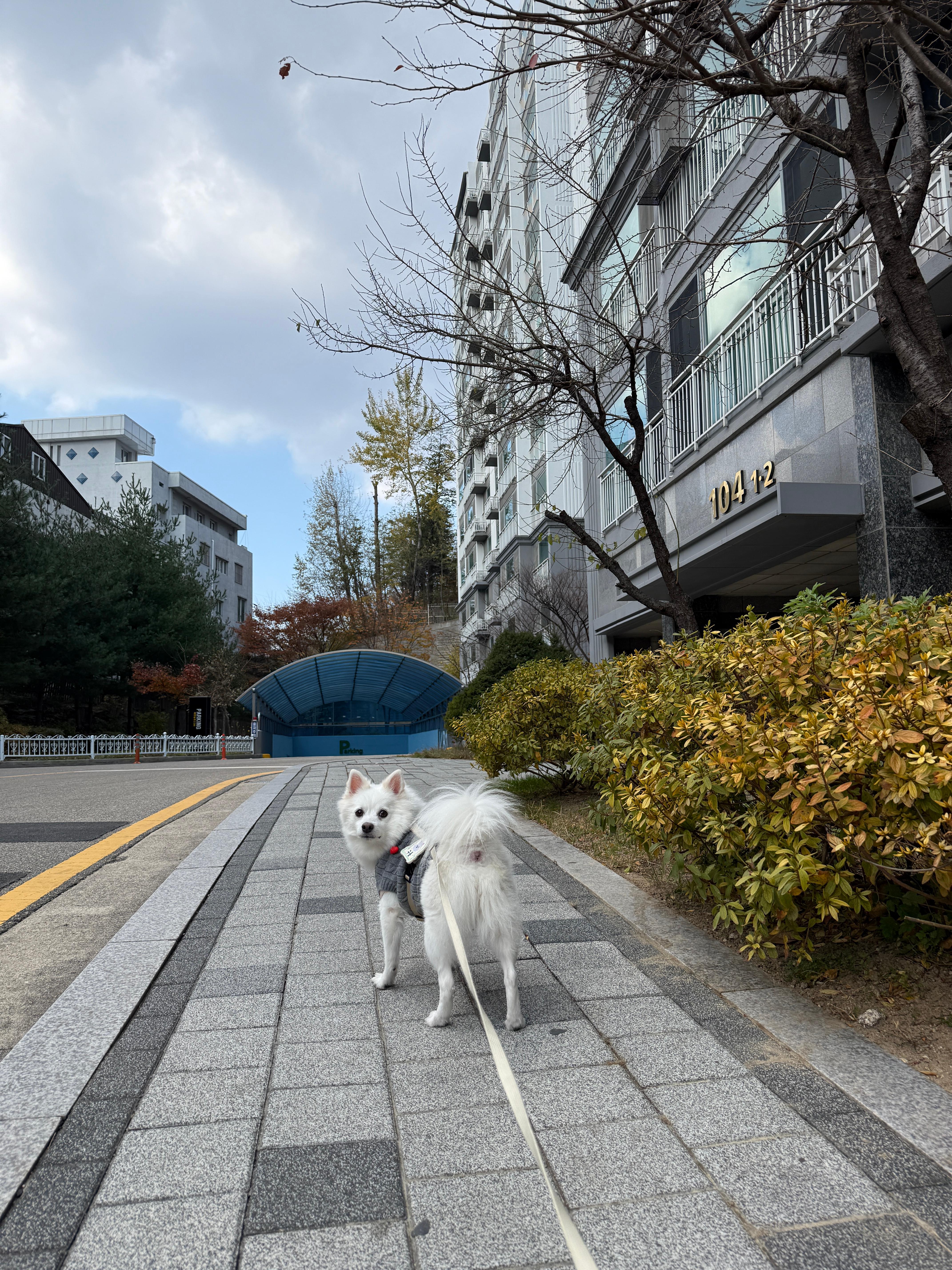 속초 하우스토리