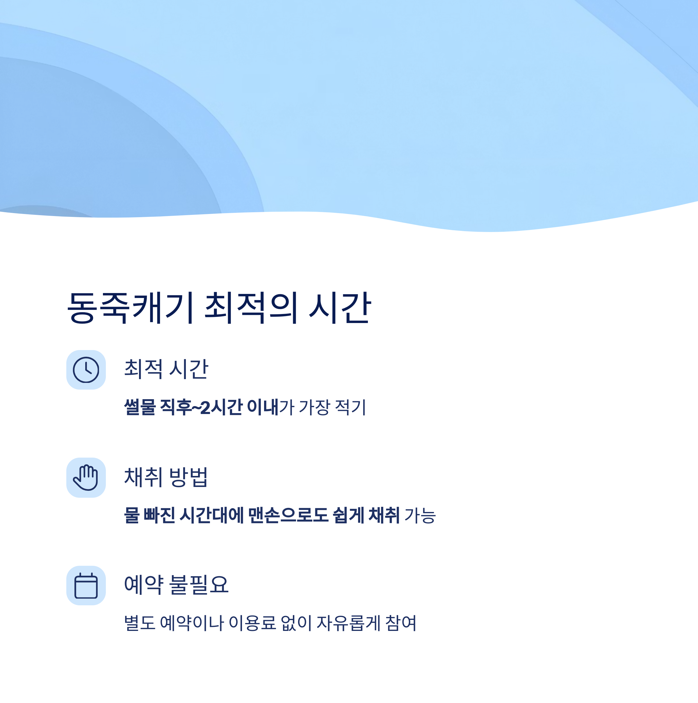동죽캐기 최적의 시간