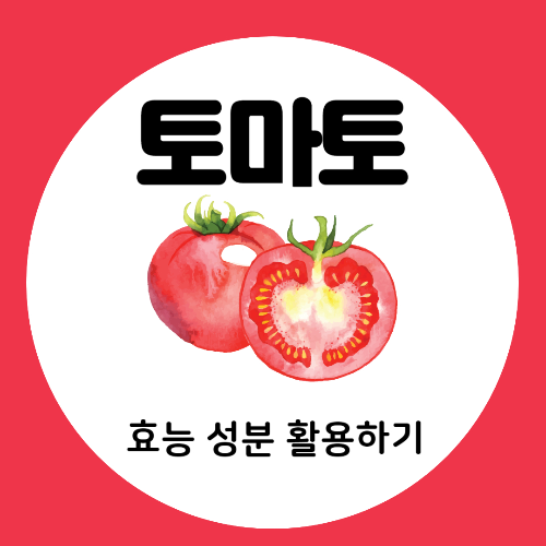 토마토 효능 성분