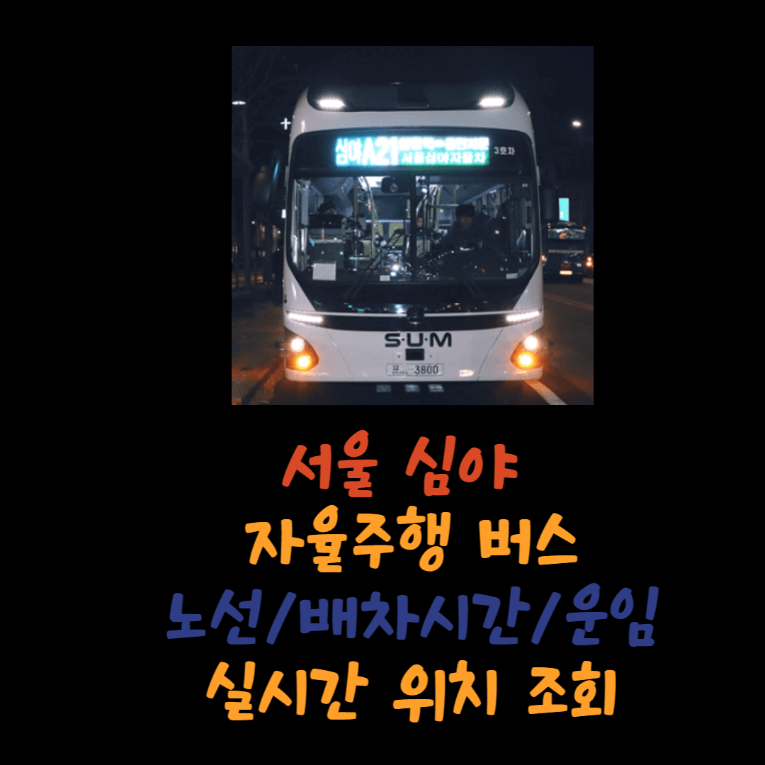 서울 심야 자율주행 버스