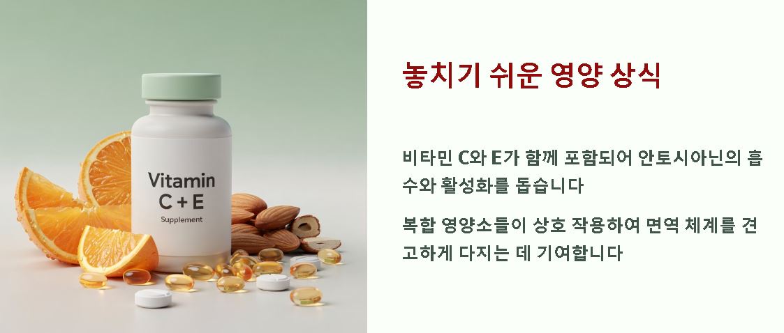 복분자 효능 부작용